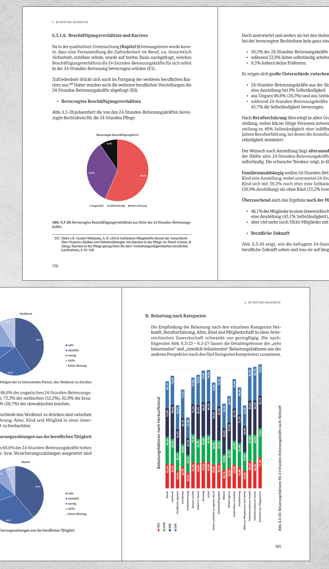 Studie 24-Stunden-Betreuungskräfte, VIDA