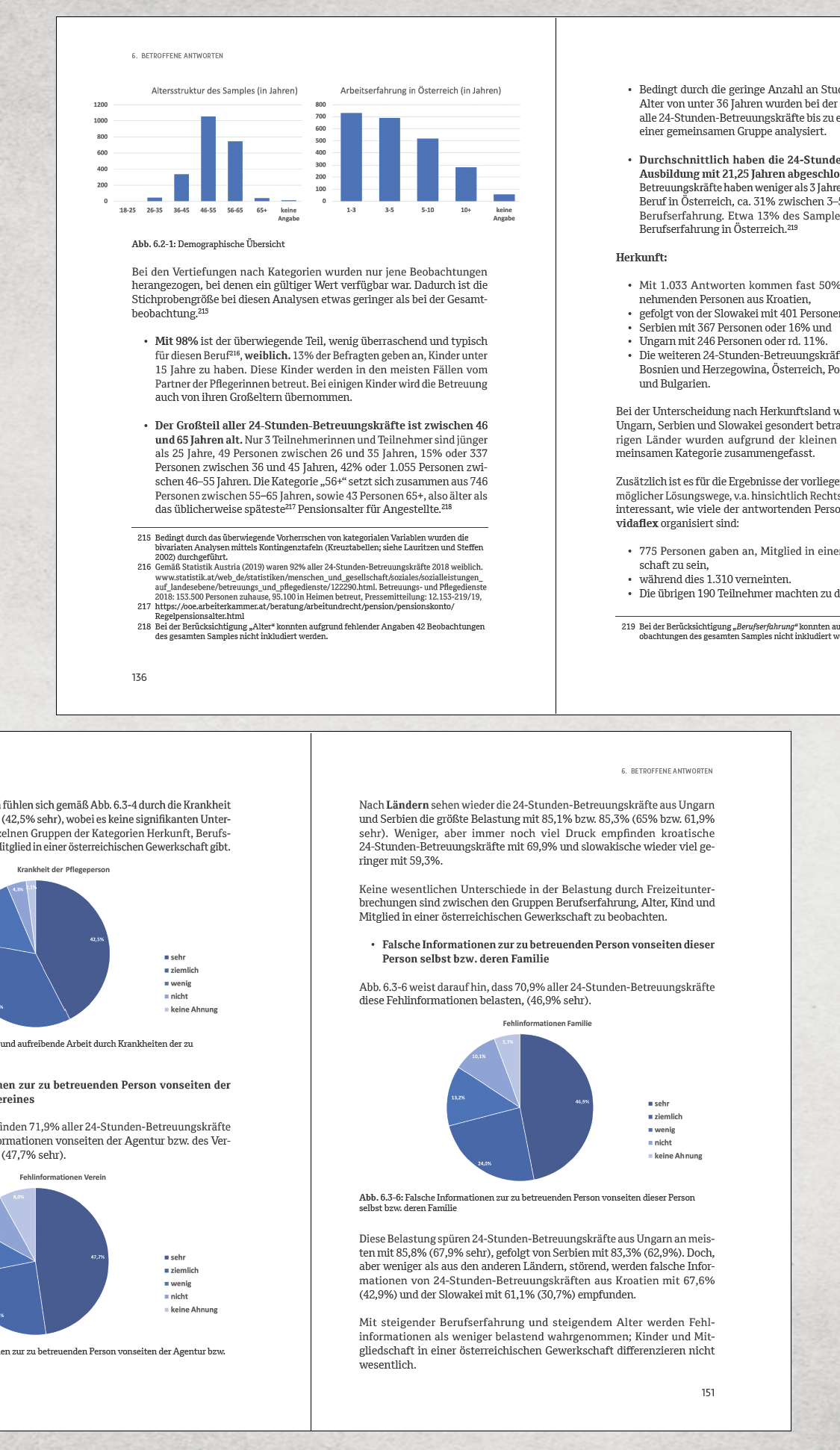 Studie 24-Stunden-Betreuungskräfte, VIDA