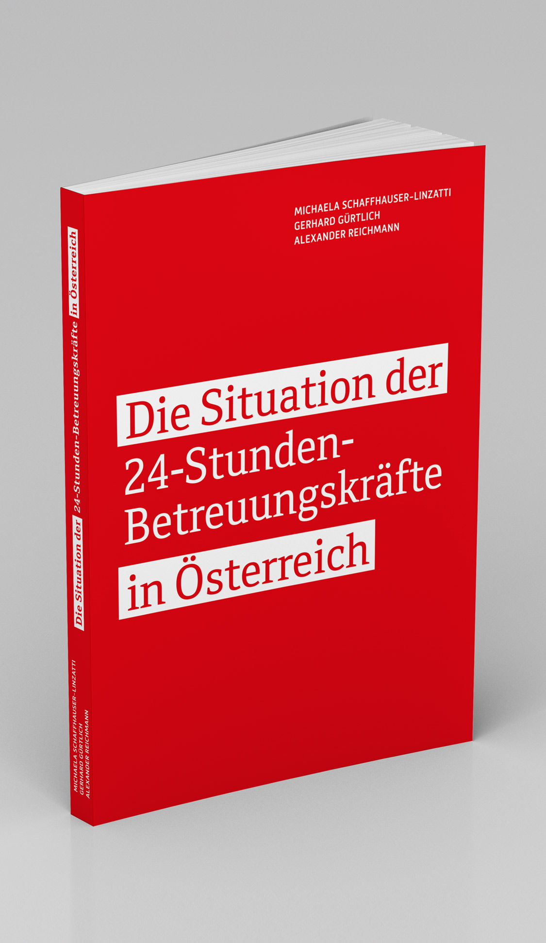 Studie 24-Stunden-Betreuungskräfte, VIDA