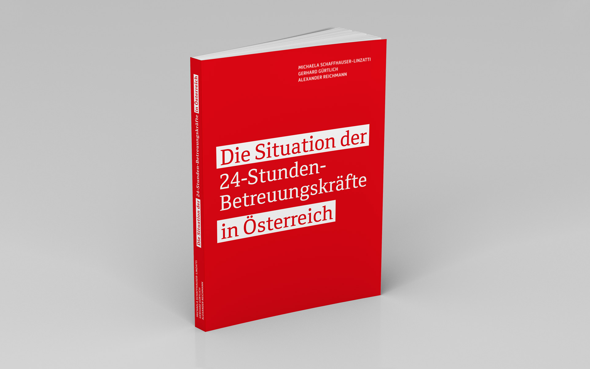 Studie 24-Stunden-Betreuungskräfte, VIDA